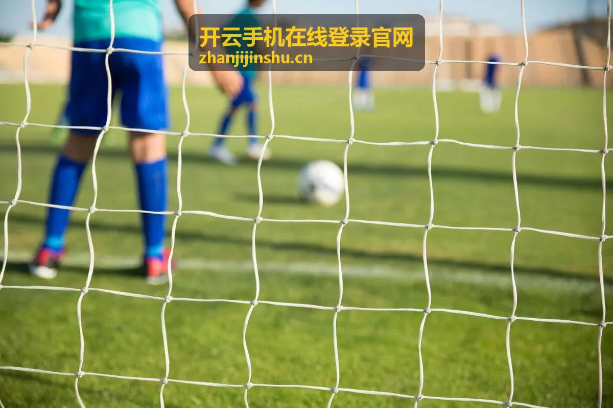 开云手机在线登录官网移动端接入指南服务展示